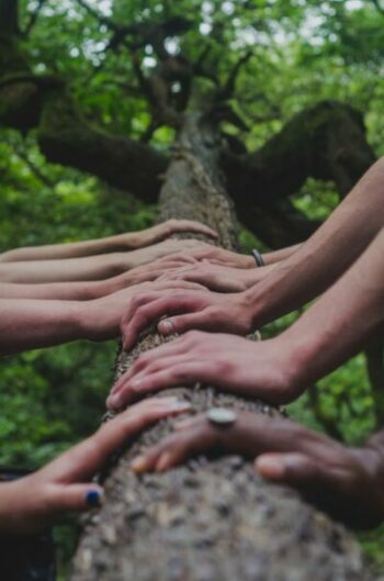 des mains sont posées de part et d'autre sur un tronc d'arbre